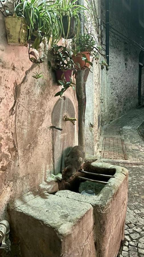 Le Petit Bijou Di Dolceacqua, Per Un Momento Romantico Экстерьер фото